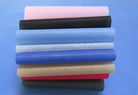 道县涤纶（PET）无纺布是什么