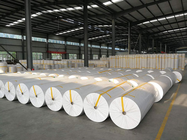 道县狭缝式涤纶纺粘无纺布